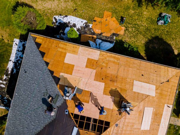 Best Roof Gutter Cleaning  in Pomona Park, FL